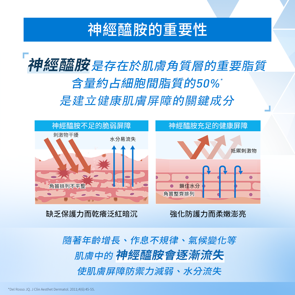 神經醯胺的重要性，建立健康肌膚屏障的關鍵成分
